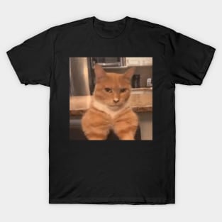 mewing meme looksmax cat funny T-Shirt